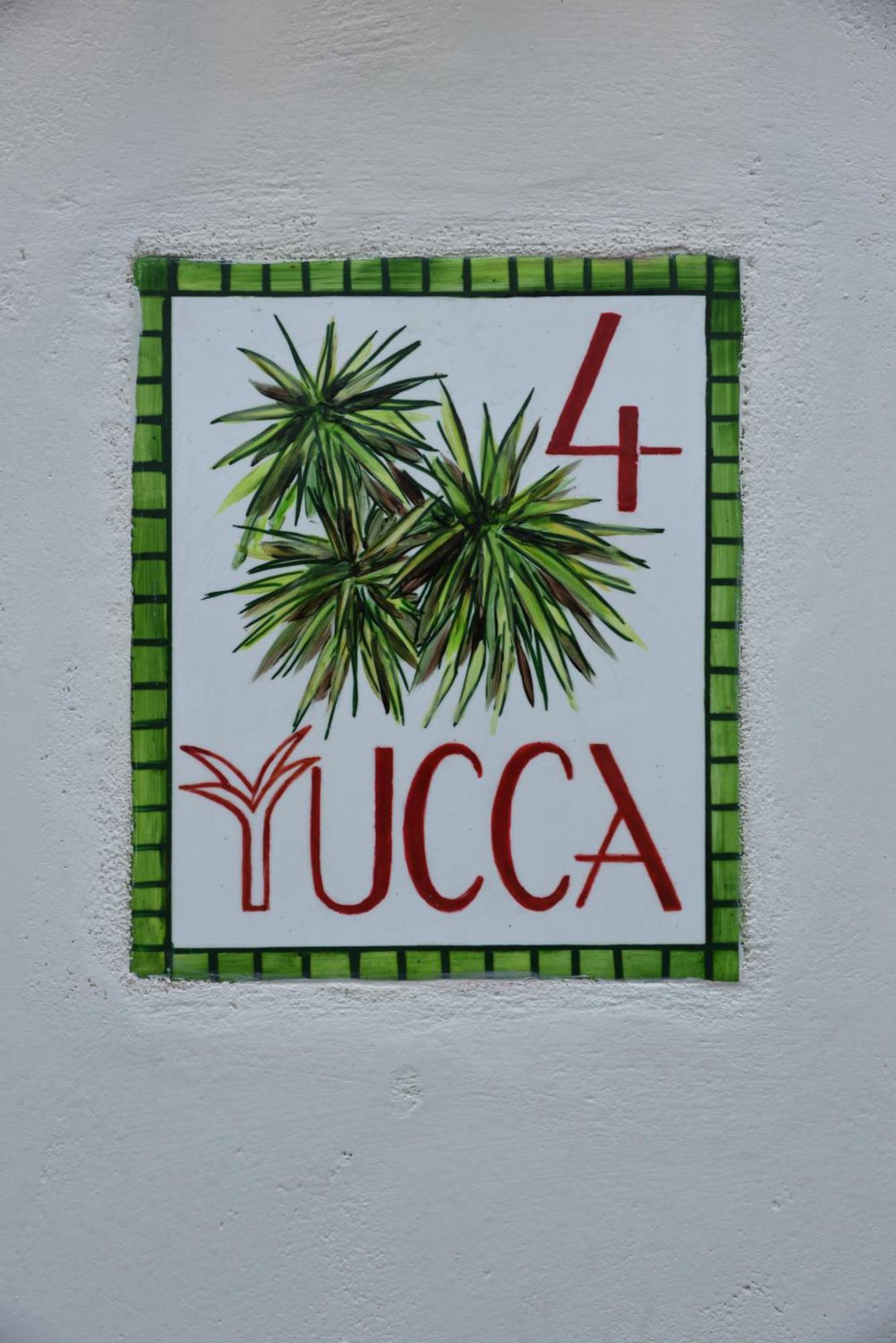 Cactus Hydra - Art Apartments Camera foto